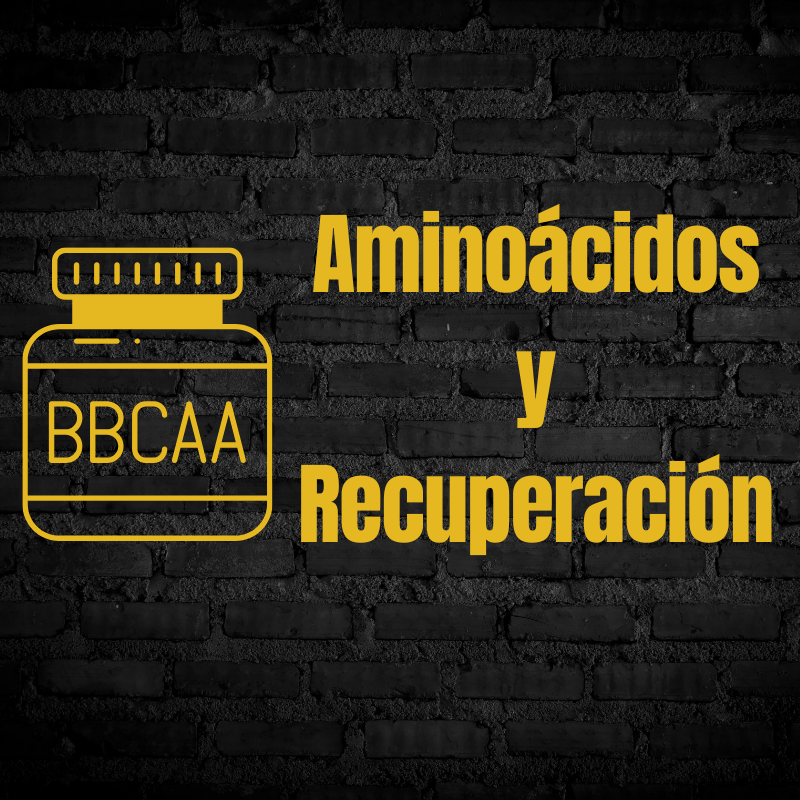 Aminoácidos y recuperación